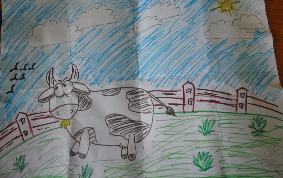 Original Drawing