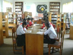We stayed at the library for nearly 4 hours reading We stayed at the library for nearly 4 hours reading