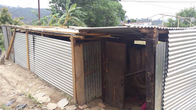 9 shed of nirupa poudel