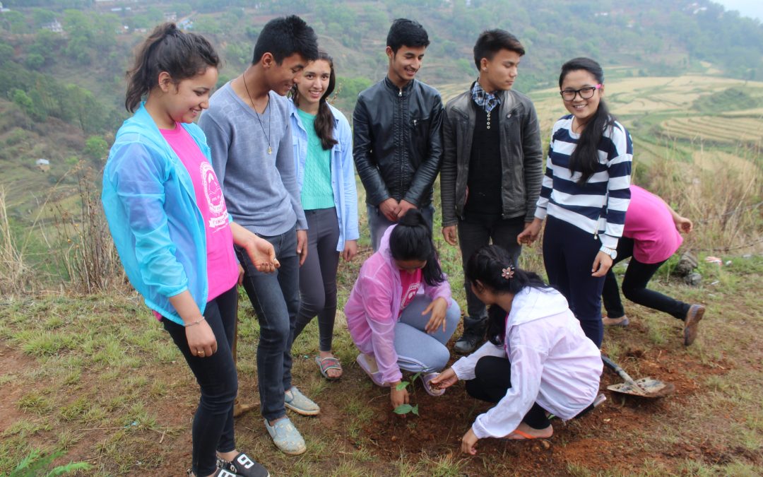 Why I planted a tree on Earth Day