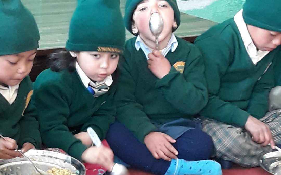 Seeing the Ripple Effect of Our Nutrition Program