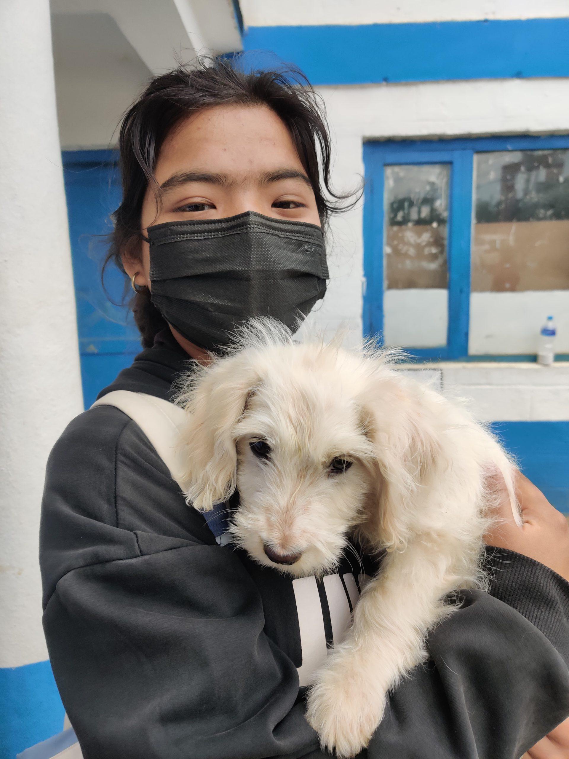 Owner of dog bring the dog for vaccination_