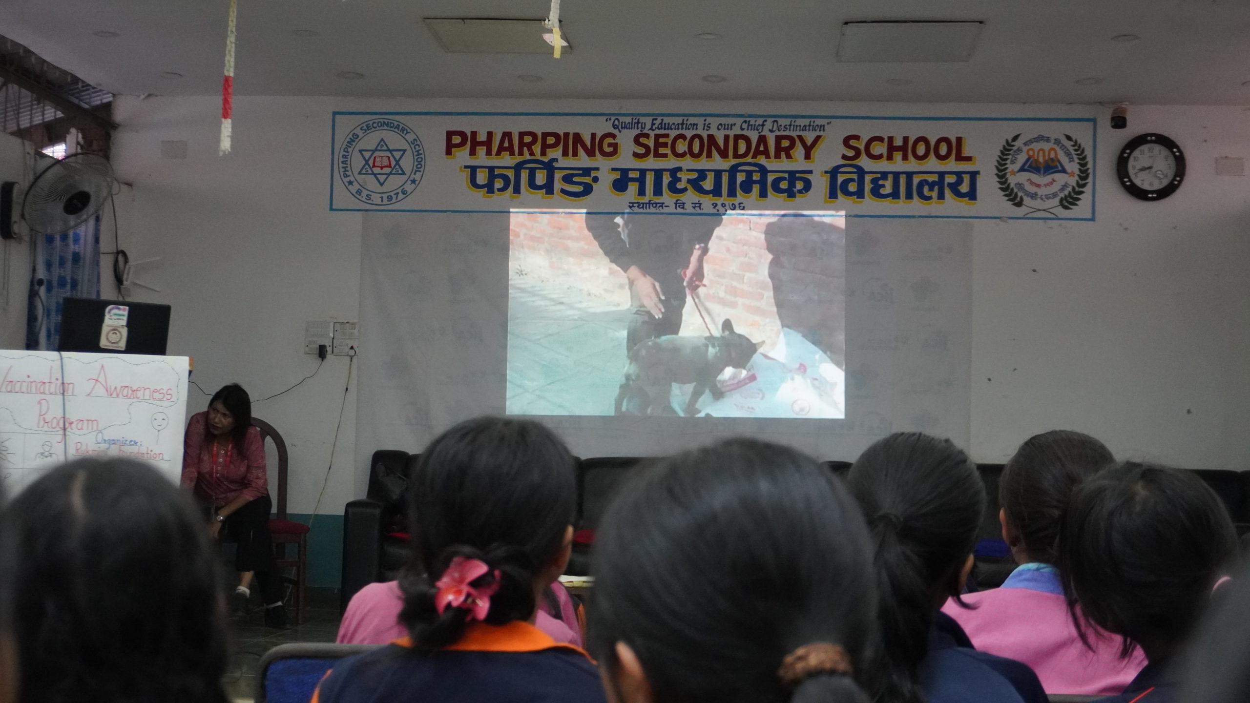 Video of rescued dog mailo by TFC