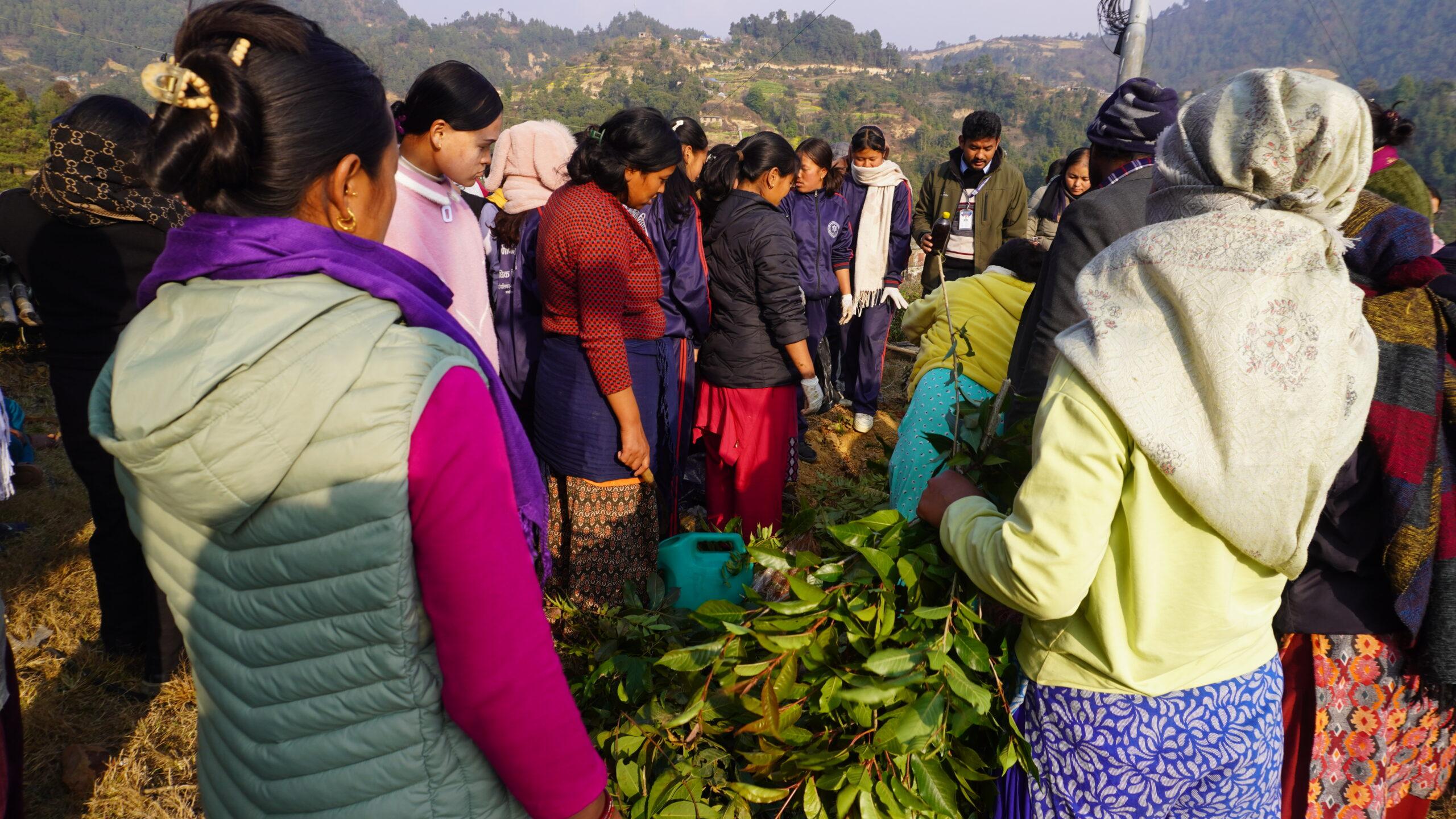 All participants are collectively engaged in the preparation of compost fertilizer_