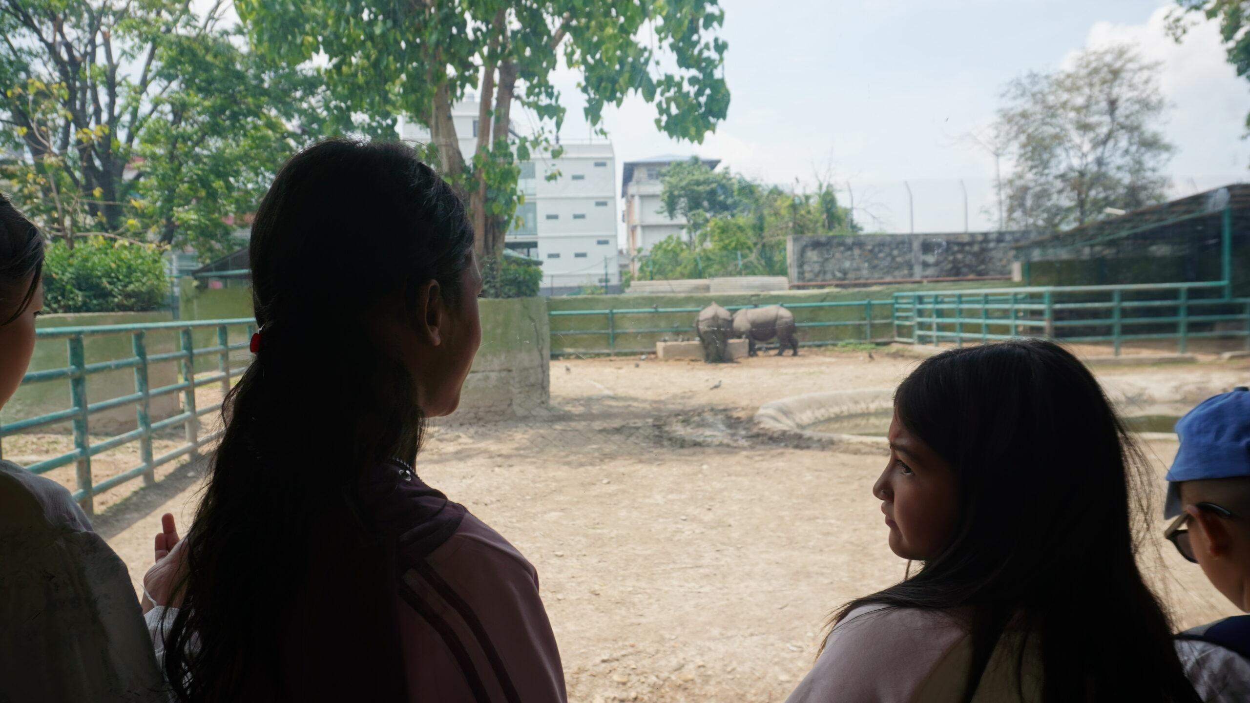 Bahinis enjoying seeing a rhinoceros during their zoo visit।